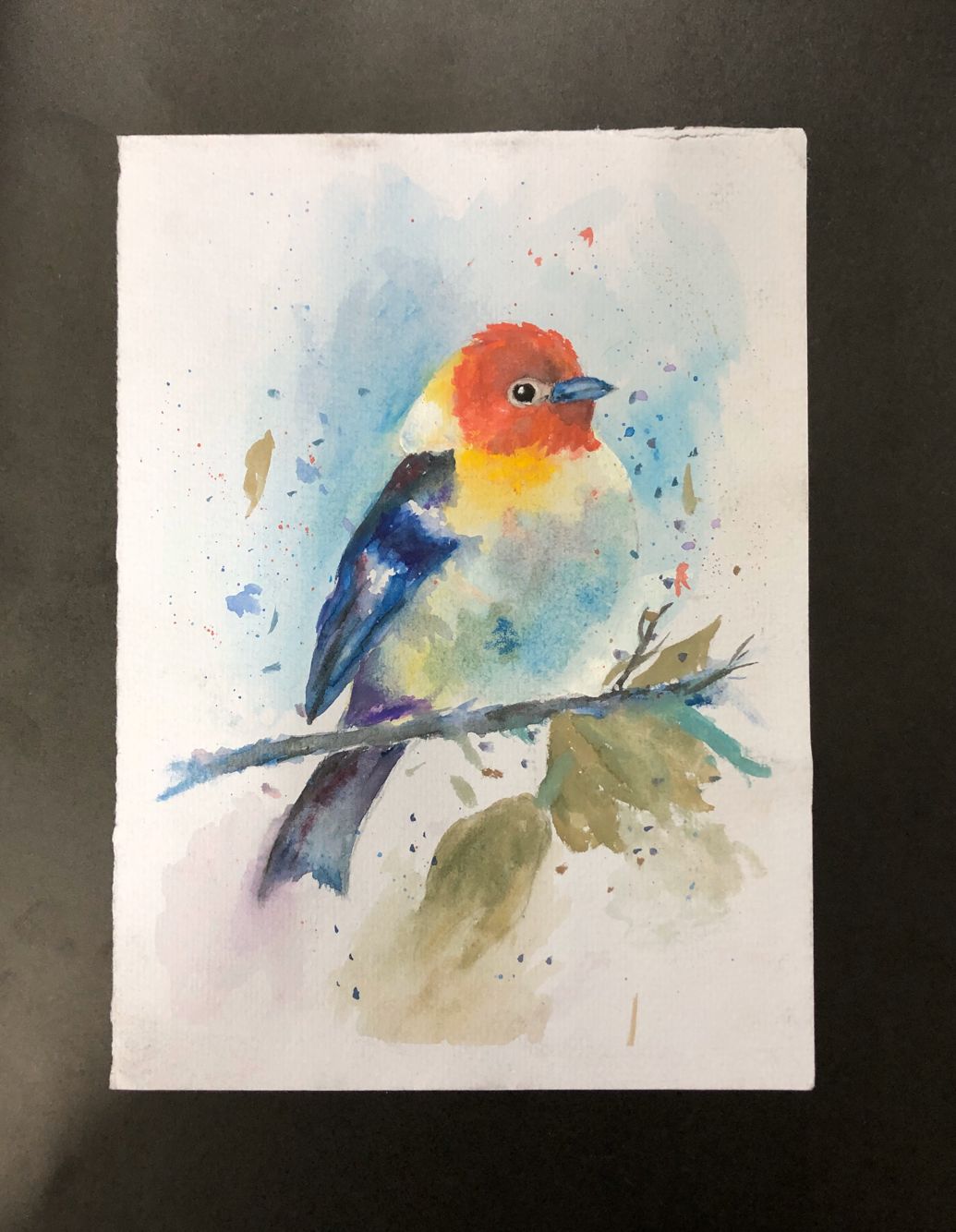 suncitygroup太阳集团